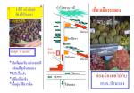 สินค้า OTOP